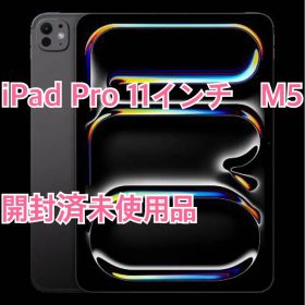 値下げ不可、1台限定 iPad Pro 11インチ M5 256GB 未使用品