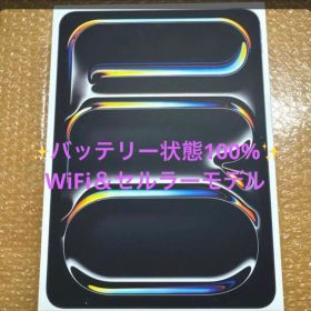 iPad Pro 11インチ(M4)Wi-Fi＋Cellular 256GB