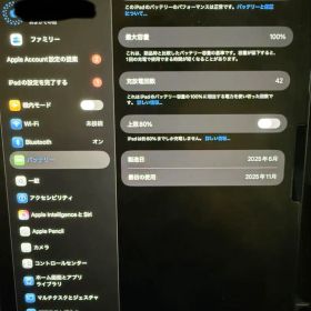 iPad Pro 第7世代11インチバッテリー状態100%