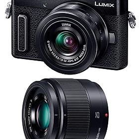 【中古】パナソニック ミラーレス一眼カメラ ルミックス GF10 ダブルレンズキット 標準ズームレンズ/単焦点レンズ付属保証なし ブラック DC-GF10W-K