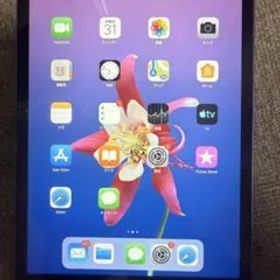 Apple iPad mini 2 スペースグレー 16GB