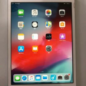 Apple iPad mini2 16GB Cellular(SoftBank）
