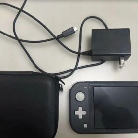 Switch light 本体 グレー 動作確認済み スイッチライト