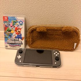 【美品】Nintendo Switch Lite マリオmicroSD256GB