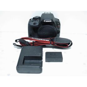 キヤノン Canon デジタル一眼レフ EOS Kiss X7