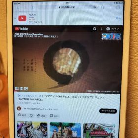 iPad Mini 1 Wi-Fi 16GB wifi