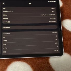 iPad Pro M2(第4世代) 11インチ WiFi+Cellular