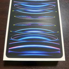 iPadpro 11インチM2 Wi-Fi+Cellular256GB シルバー