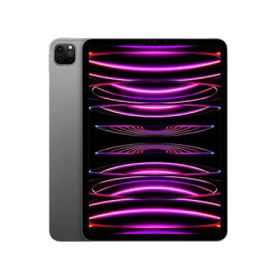 APPLE アップル MNXM3J/A APPLE iPad Pro iPadOS 16 11.0型（インチ） 2388×1668 Apple M2 16GB SSD 2TB Wi-Fiモデル Bluetooth v5.3 400〜500g グレー系