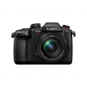 《新品》Panasonic (パナソニック) LUMIX GH5II 標準ズームレンズキット DC-GH5M2M