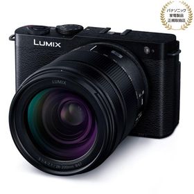 [新品]Panasonic パナソニック LUMIX S9 高倍率ズームレンズキット ジェットブラック(DC-S9H-K)