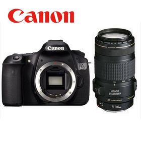 キヤノン Canon EOS 60D EF 70-300mm 望遠 レンズセット 手振れ補正 デジタル一眼レフ カメラ 中古