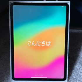 【美品】iPad Pro 11 第2世代 256GB セルラー 銀＋純正KB