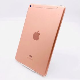 Apple iPad mini 第5世代 Wi-Fi+Cellular 64GB ゴールド MUXE2ZP/A 海外版 動作確認済み