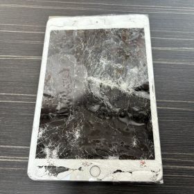 iPad mini 第5世代 256GB WiFi Silver ジャンク