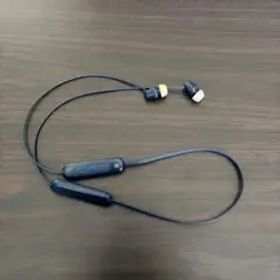 ワイヤレスイヤホン ネイビー SONY WI-C100