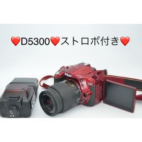 ニコン(Nikon)のNIKON D5300 ストロボセット(デジタル一眼)