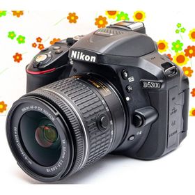 ニコン(Nikon)のニコン Nikon D5300☆WIFI機能付♪☆動画撮影可☆一眼レフ☆自撮り可(デジタル一眼)