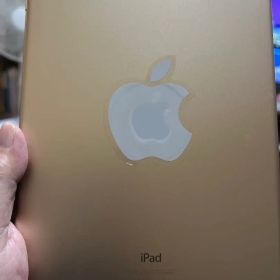 iPad Air2 64GB Cellular 美品 SIMロック解除済ジャンク