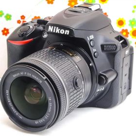 美品 ニコン Nikon D5500☆Wi-Fi搭載機♪☆高機能・高画質一眼レフ