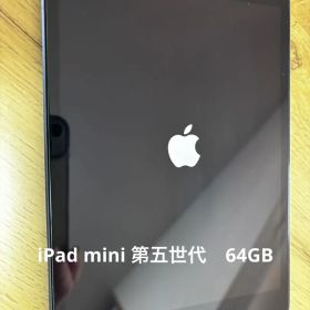 iPad mini 第五世代 64GB SIMフリー Wi-Fi セルラー