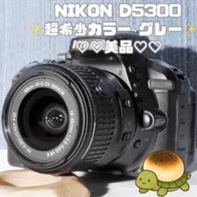 ✨Wi-Fi搭載モデル！激レアカラー✨グレー✨D5300 レンズキット✨