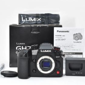 Panasonic パナソニック LUMIX DC-GH7 元箱 /2738 動作OK 返金保証