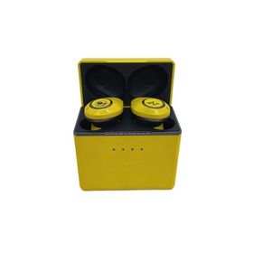 AVIOT◆イヤホン AVIOT TE-D01d mk2-TQ