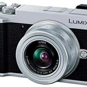 【中古】 パナソニック ミラーレス一眼カメラ ルミックス GX7MK3 標準ズームレンズキット シルバー DC-GX7MK3K-S