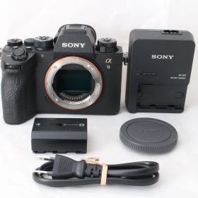 ☆良品☆ SONY ソニー α9 II フルサイズ ミラーレス一眼 α9M2 ボディ ILCE-9M2 #4582