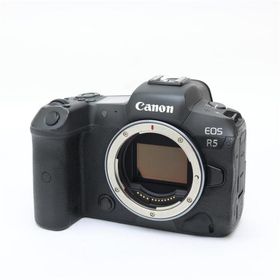 《並品》Canon EOS R5
