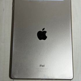 Apple iPad Air 2 Cellularモデル セルラー