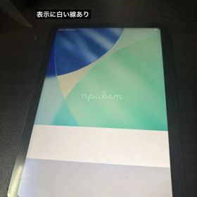【ジャンク】iPad mini 6 Cellular 256GB スペースグレイ