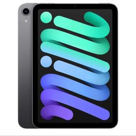 iPad mini (第６世代) Wi-Fi 64GB スペースグレイ 本体