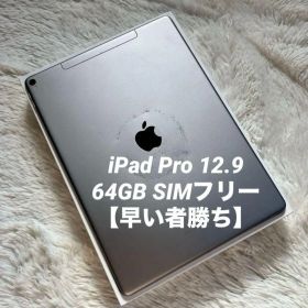 【完動品】iPad Pro 12.9 第2世代 64GB 【即発送】【付属品】