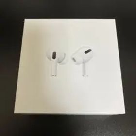 【付属品全付】Apple AirPods Pro 第1世代