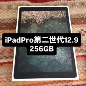 iPad Pro 第2世代 12.9インチ 256GB 美品❗️ 値段交渉可能‼️