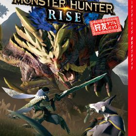 ※メール便発送※ 【新品】Nintendo Switch モンスターハンターライズ 狩友ダブルパック