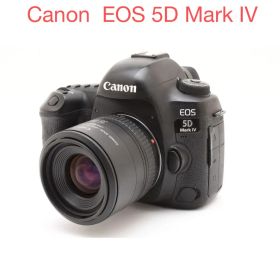 Canon EOS 5D Mark IV / Canon EF 35-70mm