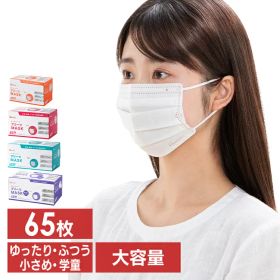 アイリスオーヤマ マスク プリーツマスク 65枚入 PN-NV65G PN-NV65S PN-NV65L PN-NV65LL 学童 小さめ ふつう ゆったり大きめ プリーツ 不織布 使い捨て 飛沫 ウイルス 感染 花粉 ほこり 3層構造 アイリスオーヤマ