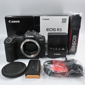 Canon EOS R5 ボディ ショット数 10000以下