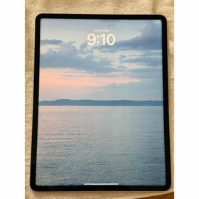 アイパッド(iPad)の美品iPad Pro 12.9インチ(M2)2TB Celllarモデル(タブレット)
