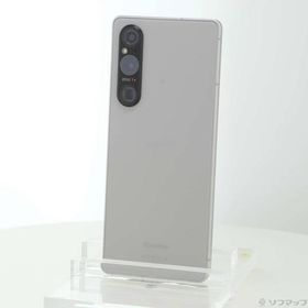 Xperia 1 V 256GB プラチナシルバー 中古 59,100円 | ネット最安値の