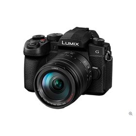 DC-G99M2H パナソニック LUMIX デジタル一眼カメラ レンズキット ブラック