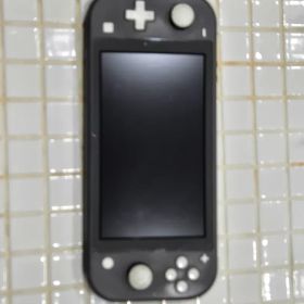 Nintendo Switch Lite グレー 本体