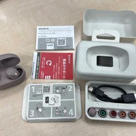 Sony WF-1000XM5 ワイヤレスイヤホン スモーキーピンク