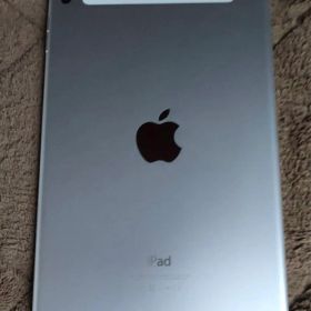 iPad mini 4 Cellular