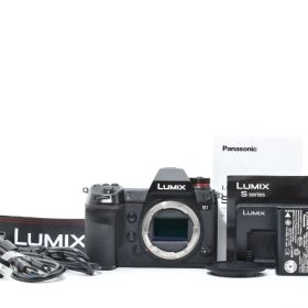 18371ショット!! 極上品 Panasonic Lumix DC-S1 付属品色々セット