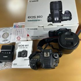【ジャンク】Canon キヤノンEOS 80D EF-S デジタル一眼レフカメラ