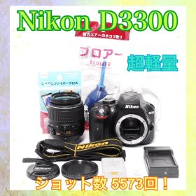 Nikon D3300◆ショット数少なめ◆Flash Air付き◆一眼レフカメラ